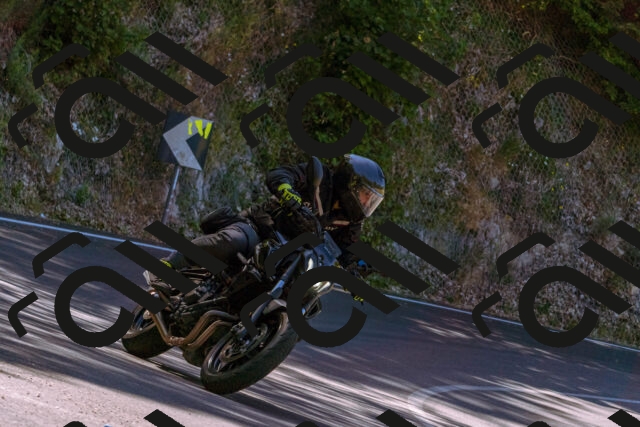 202506291049-_DSC1365_d1_