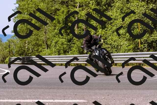 202506291050-_DSC1403_d1_