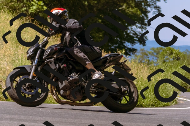 202506291052-_DSC1420_d1_