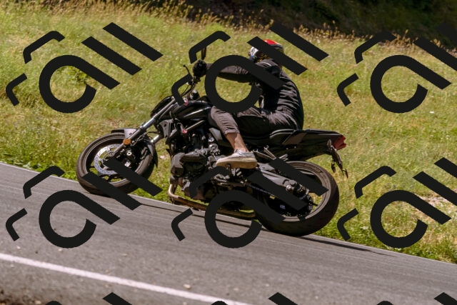 202506291052-_DSC1422_d1_