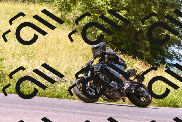 202506291052-_DSC1425_d1_