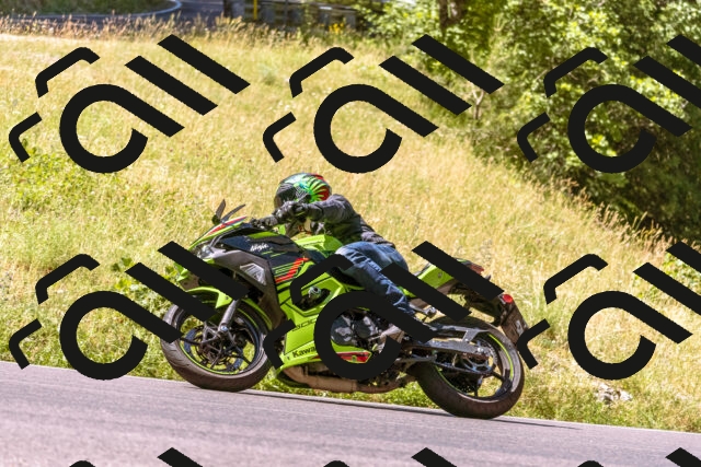 202506291052-_DSC1429_d1_