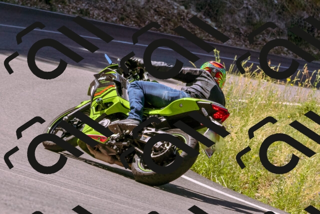 202506291052-_DSC1432_d1_