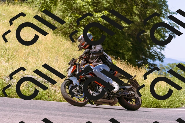 202506291052-_DSC1435_d1_