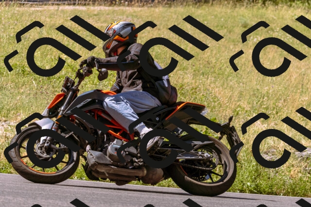 202506291052-_DSC1436_d1_