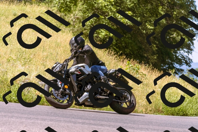 202506291052-_DSC1440_d1_