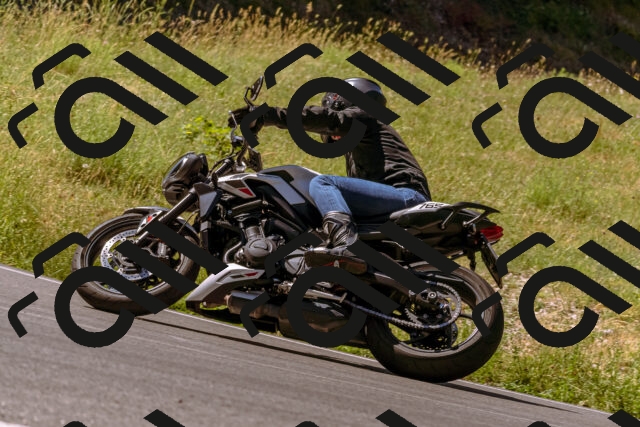 202506291052-_DSC1442_d1_