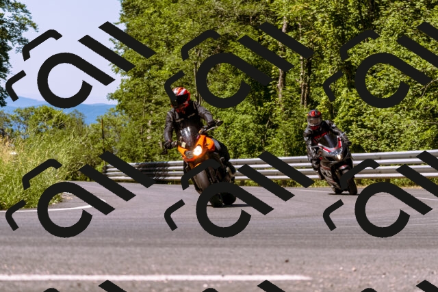 202506291101-_DSC1476_d1_