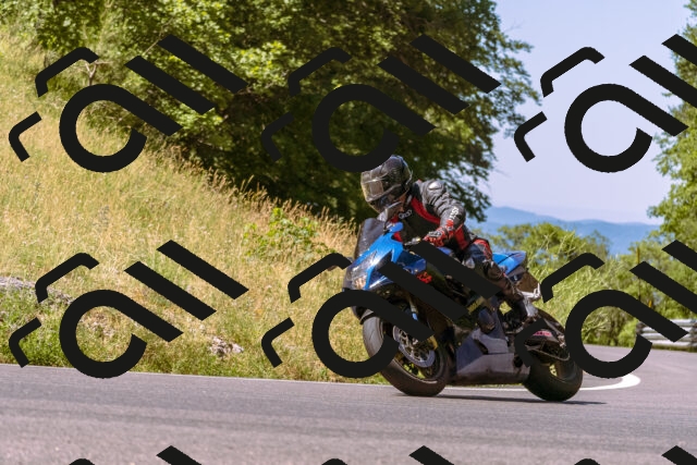 202506291102-_DSC1485_d1_