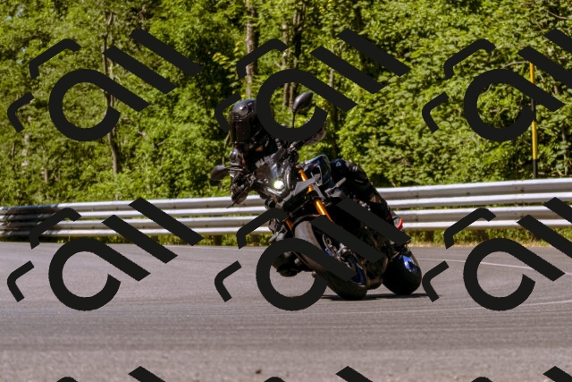 202506291102-_DSC1497_d1_