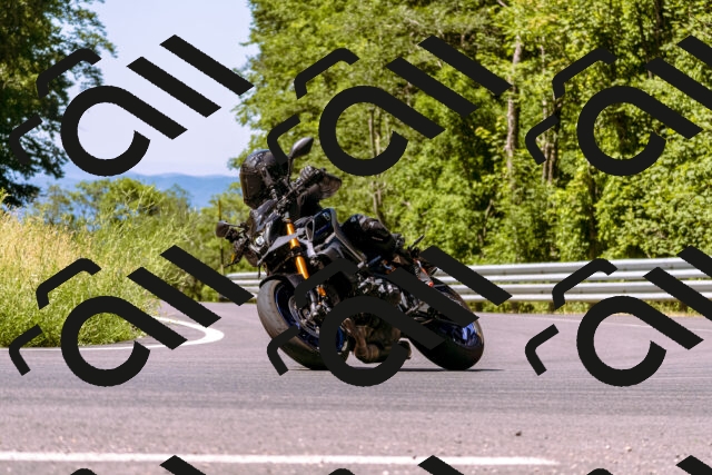 202506291102-_DSC1498_d1_