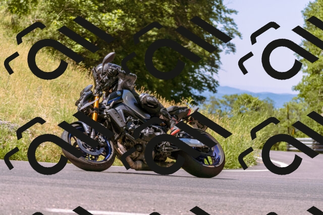 202506291102-_DSC1499_d1_