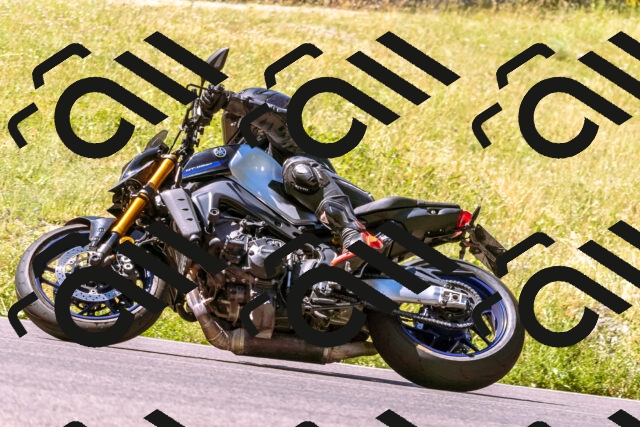 202506291102-_DSC1500_d1_