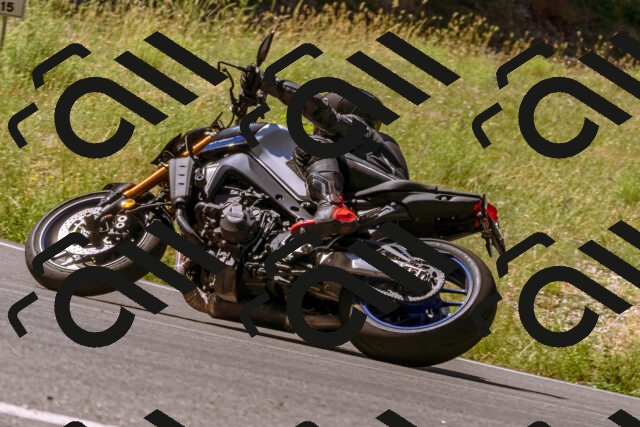 202506291102-_DSC1501_d1_