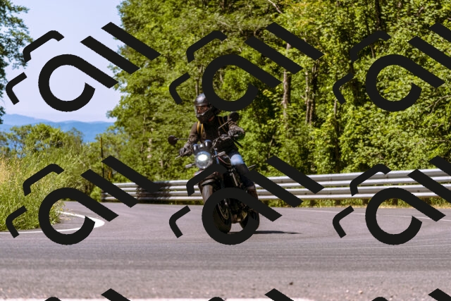 202506291104-_DSC1511_d1_