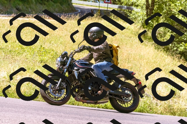 202506291104-_DSC1515_d1_