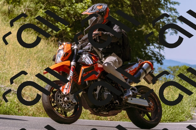 202506291105-_DSC1518_d1_