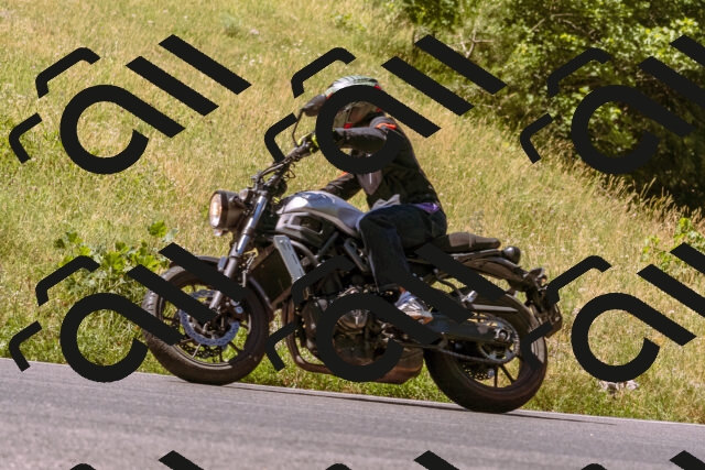 202506291106-_DSC1530_d1_