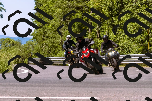 202506291107-_DSC1537_d1_