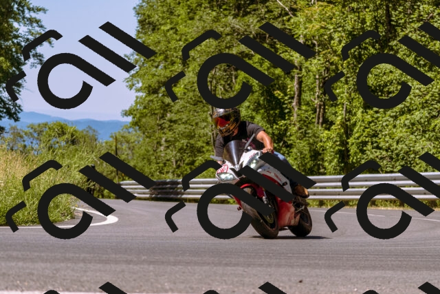 202506291108-_DSC1554_d1_