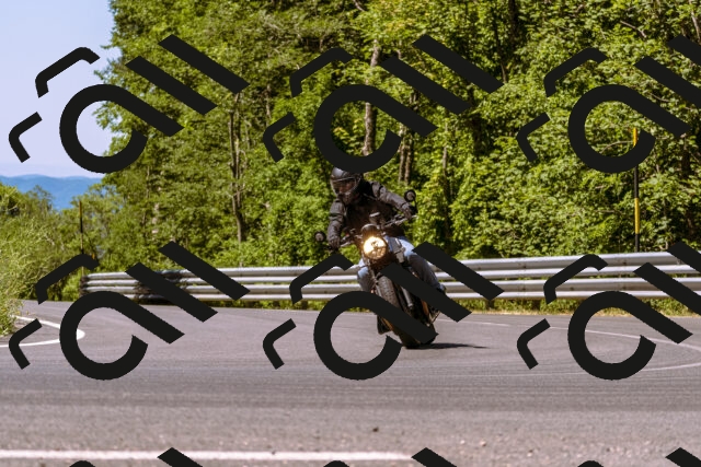 202506291108-_DSC1559_d1_