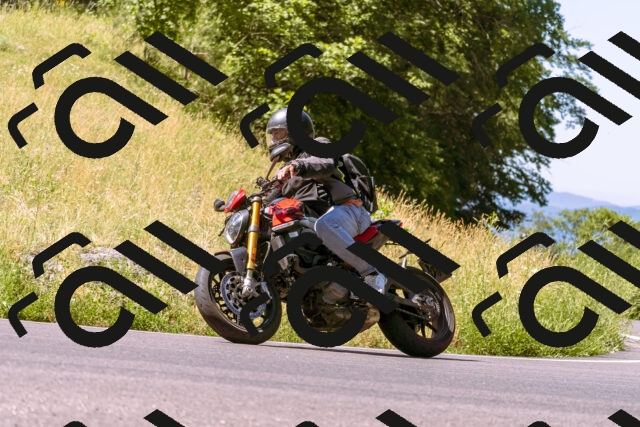 202506291108-_DSC1566_d1_