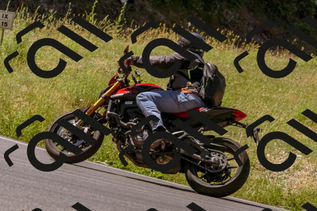 202506291108-_DSC1569_d1_