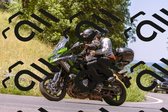 202506291108-_DSC1572_d1_