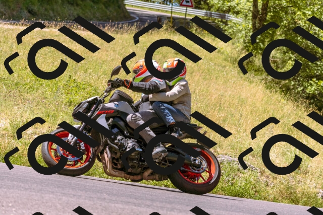 202506291109-_DSC1578_d1_