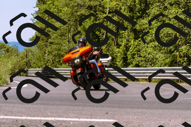 202506291109-_DSC1589_d1_