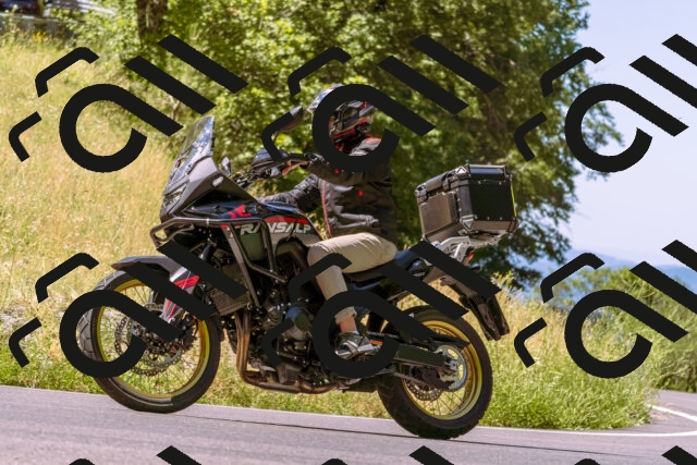 202506291114-_DSC1639_d1_