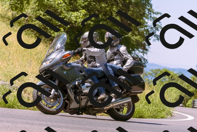 202506291117-_DSC1653_d1_