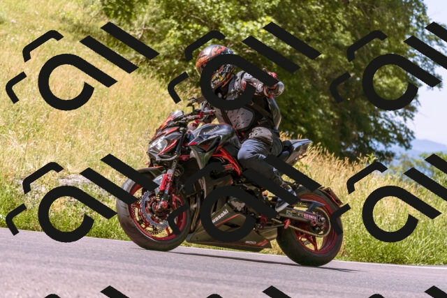 202506291126-_DSC1713_d1_