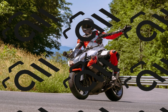 202506291126-_DSC1717_d1_