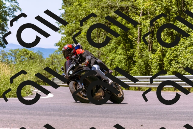 202506291133-_DSC1753_d1_