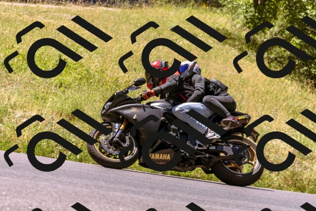 202506291133-_DSC1755_d1_