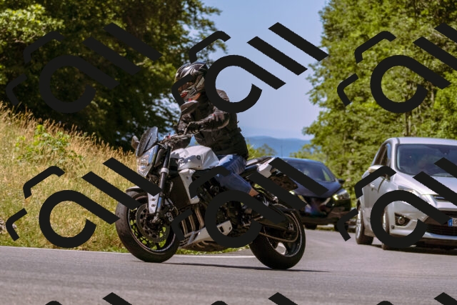 202506291133-_DSC1760_d1_