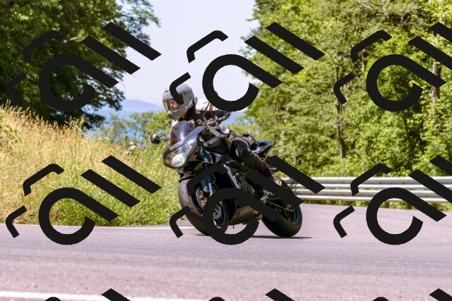 202506291136-_DSC1769_d1_