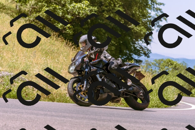 202506291136-_DSC1770_d1_