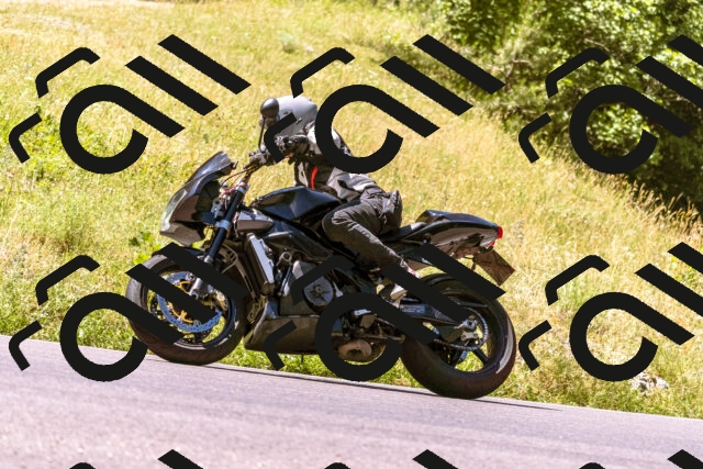 202506291136-_DSC1771_d1_