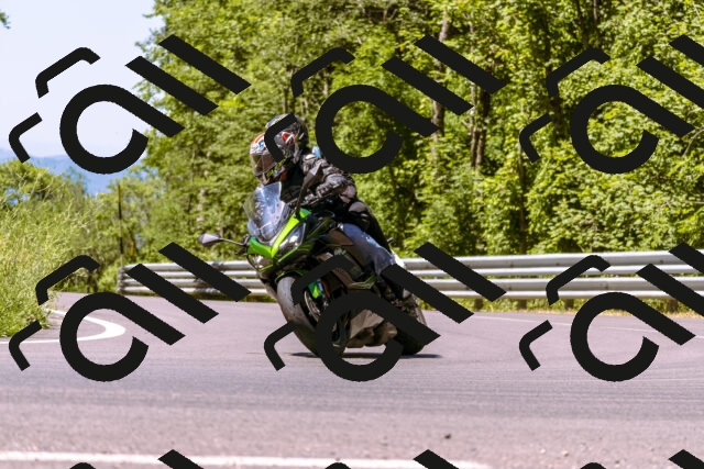 202506291136-_DSC1772_d1_