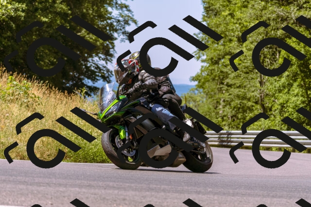 202506291136-_DSC1773_d1_