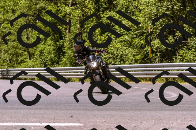 202506291136-_DSC1777_d1_