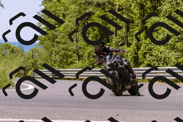 202506291136-_DSC1778_d1_