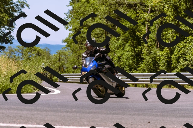 202506291143-_DSC1815_d1_