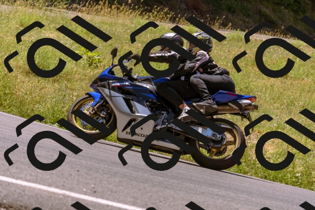 202506291143-_DSC1819_d1_