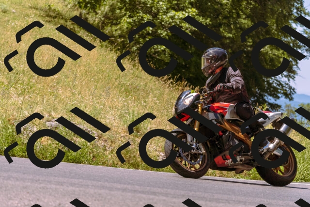 202506291145-_DSC1839_d1_