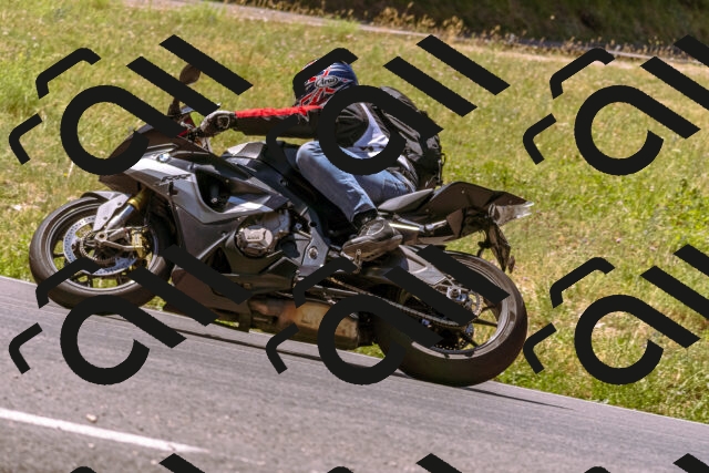 202506291146-_DSC1865_d1_