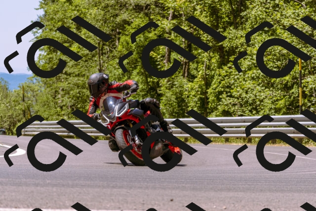 202506291147-_DSC1868_d1_