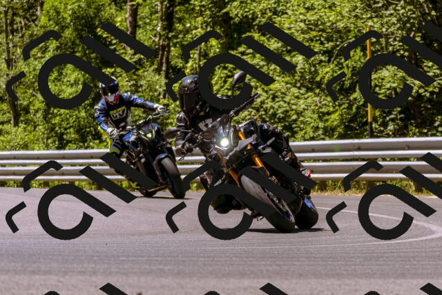 202506291148-_DSC1877_d1_